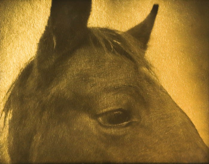 Naohiro Ninomiya, Glanage-4, 2019