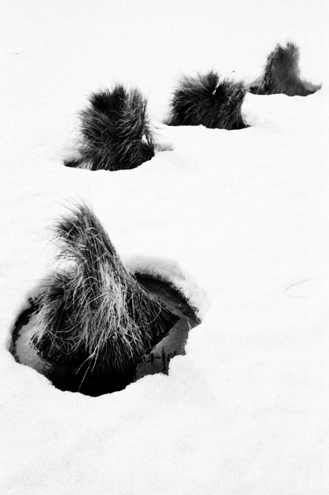 Hajime Kimura, Matagi 27, 2007-2013