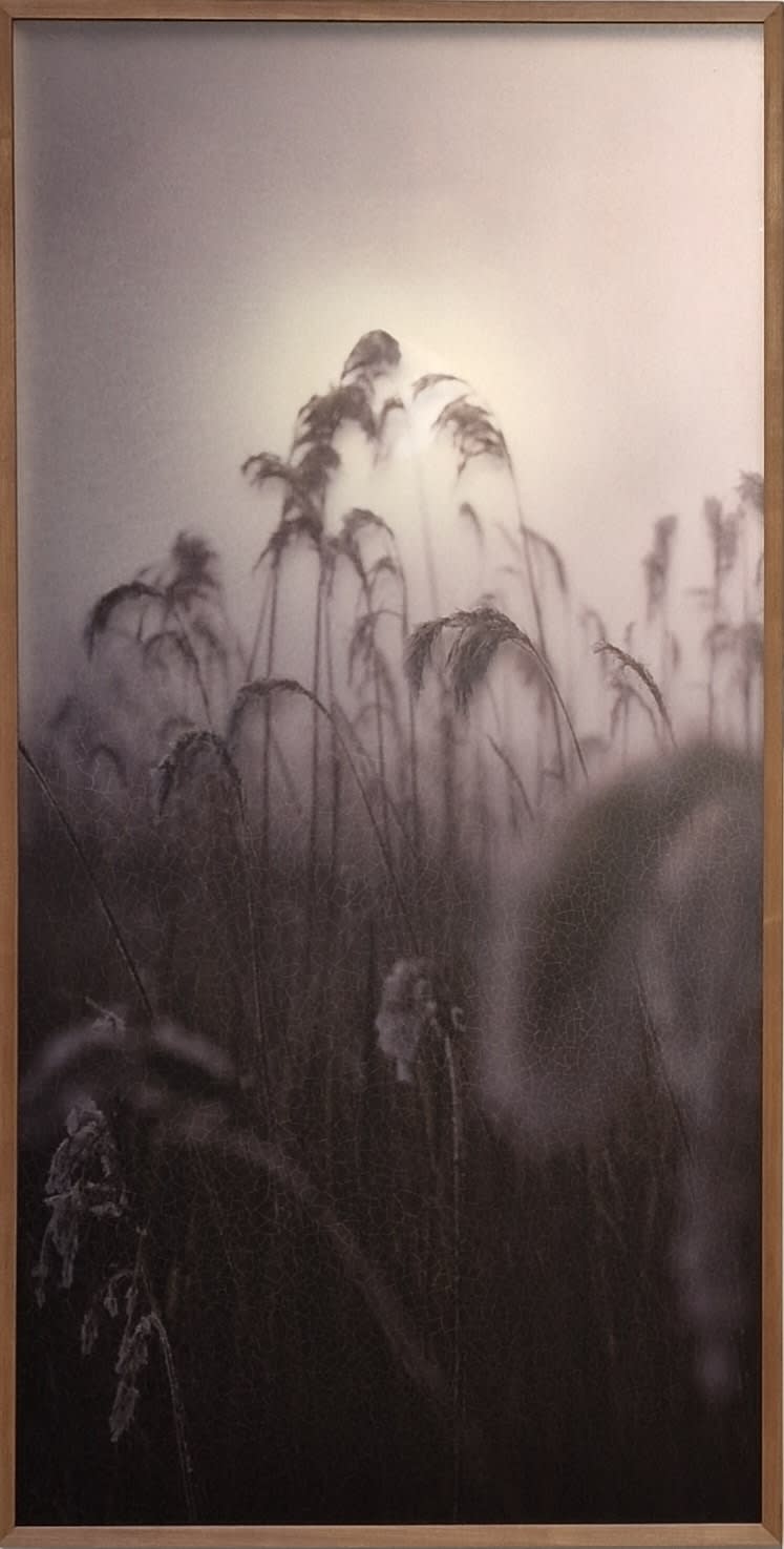 Casper Faassen, View on the Moon, 2023
