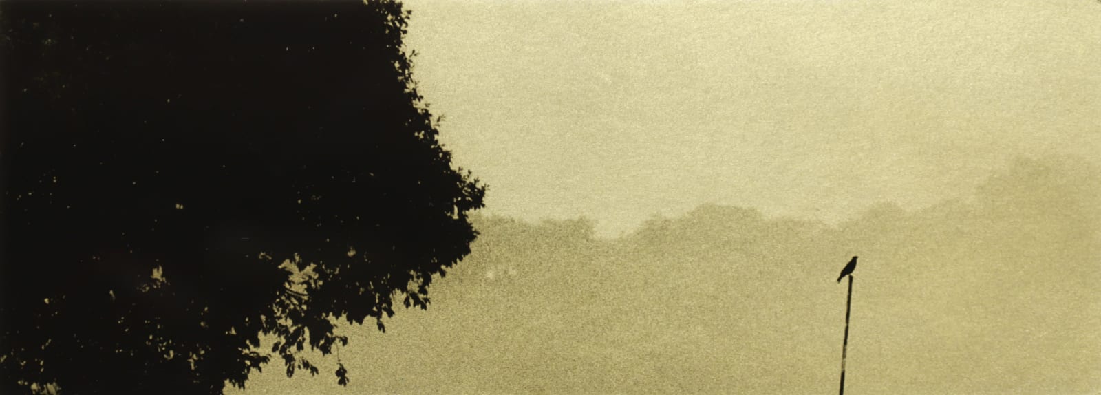 Naohiro Ninomiya, Glanage-53, 2021