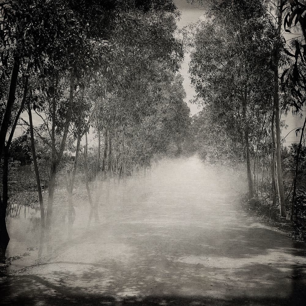 FLORE, FL-660 #10, 2016