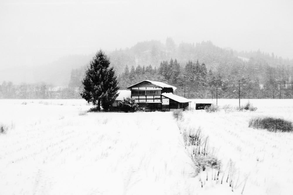 Yukari Chikura, Zaido 9, 2012-2017