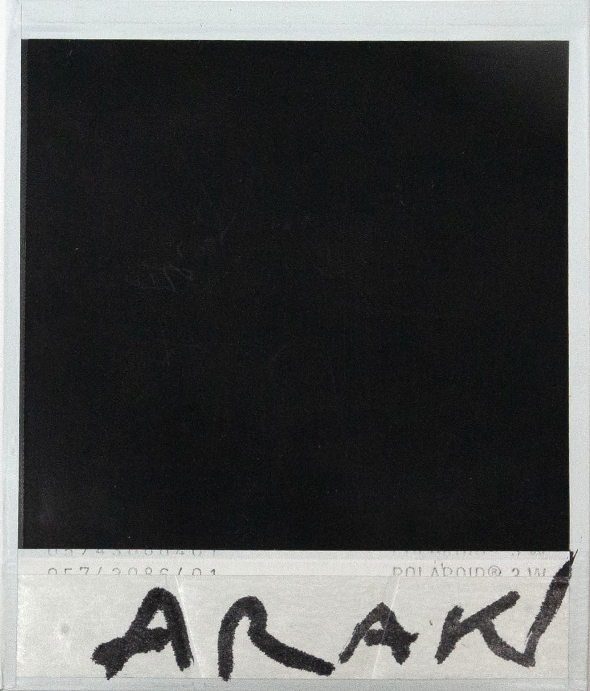 Nobuyoshi Araki, Untitled, n.d.