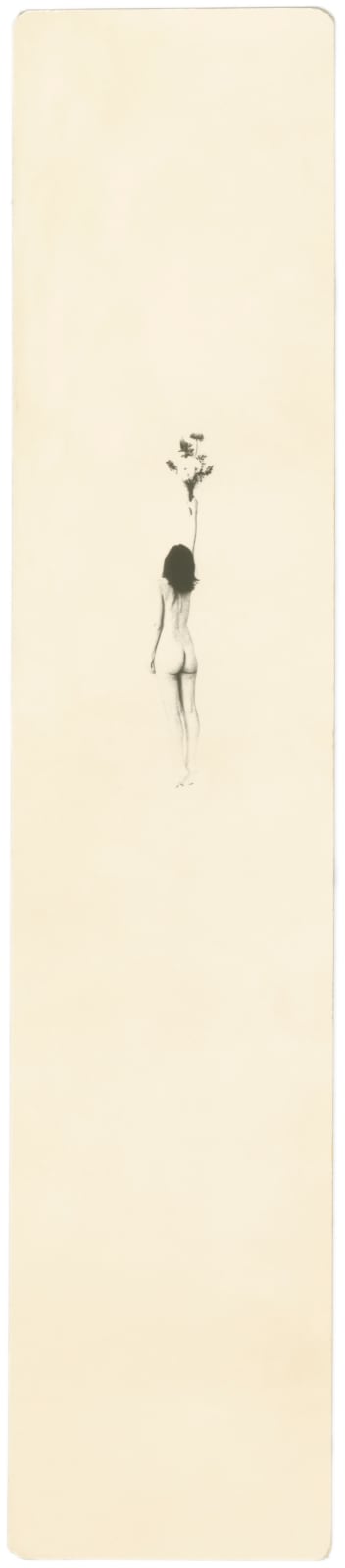 Miho Kajioka, #0144, 2024