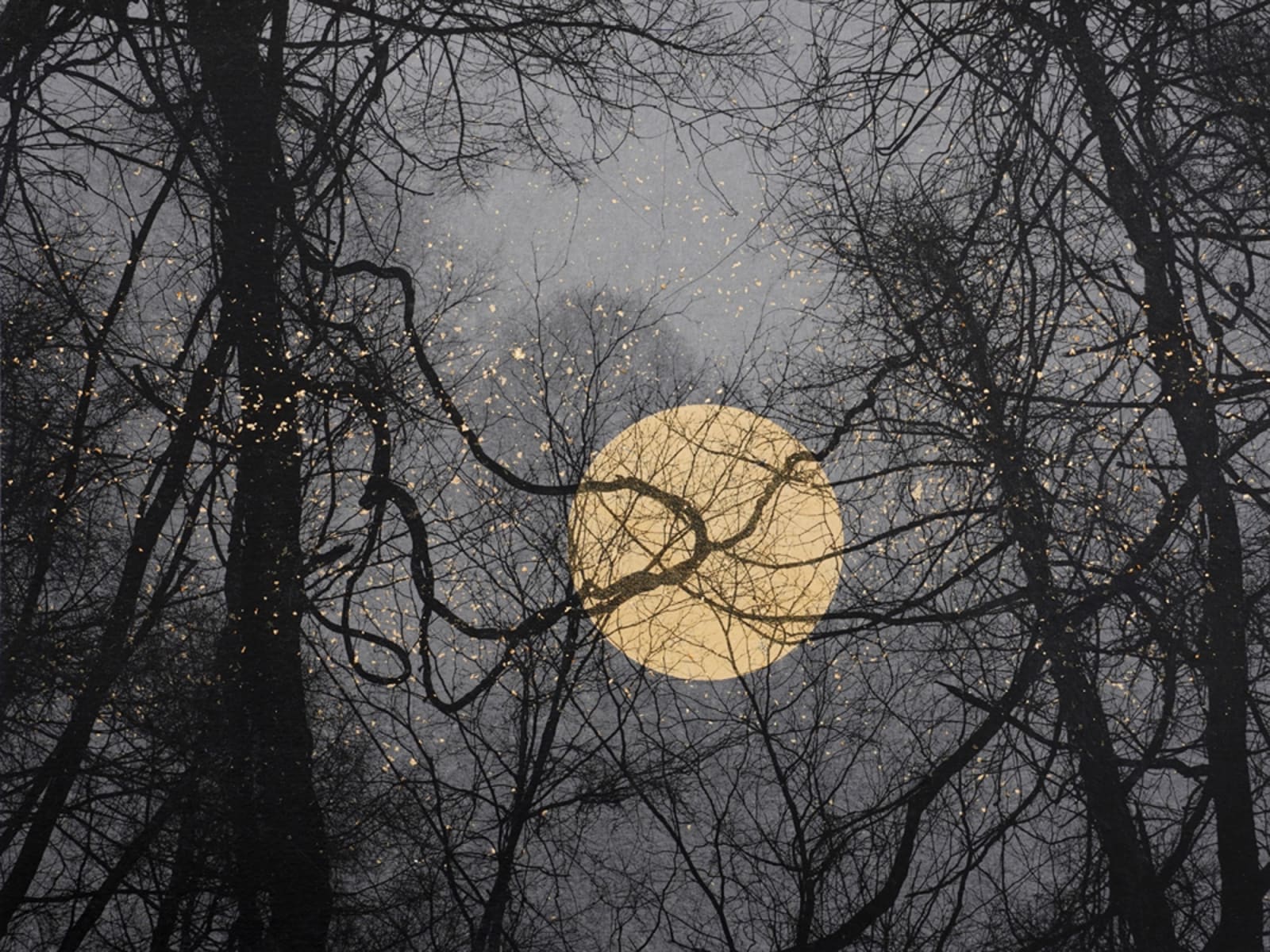 Junko Hirano, Nature Faith 5NW-1, 2023/2025