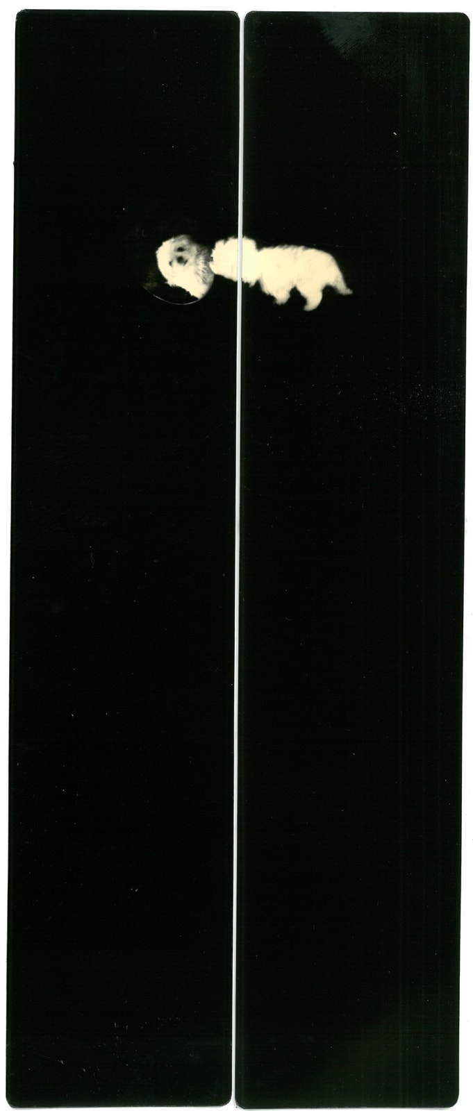 Miho Kajioka, BK0460, 2015