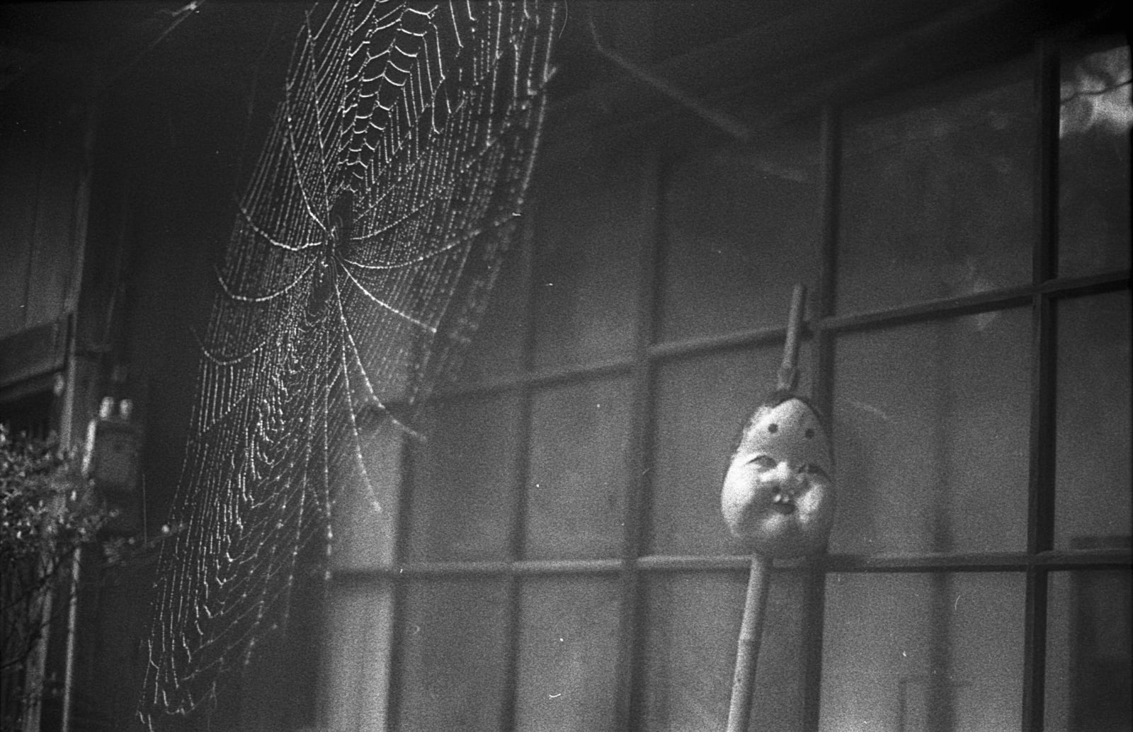 Hideoki, Okame & Spider web, Japan, 1973