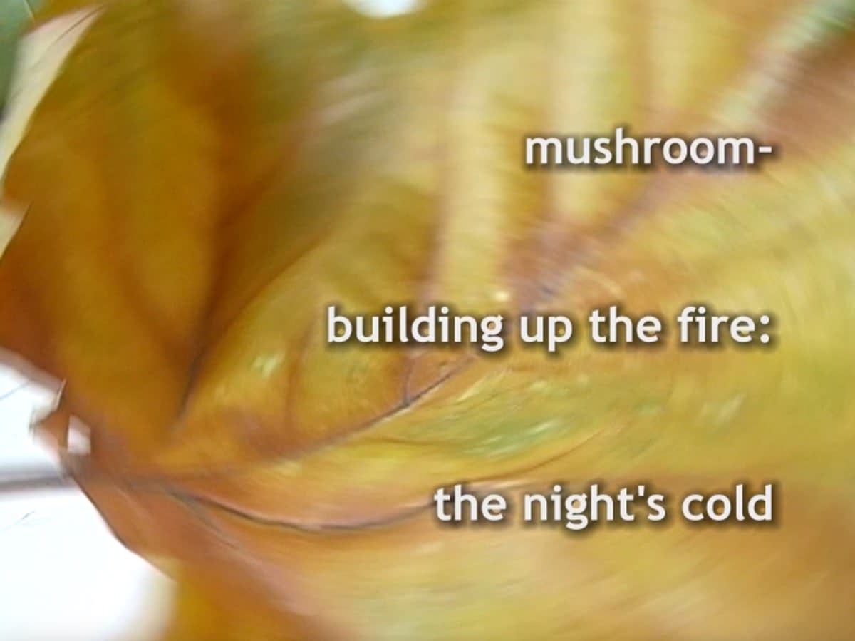 Madelon Hooykaas, Mushroom Haiku, from 'Haiku, the art of the present moment', 2007/2023