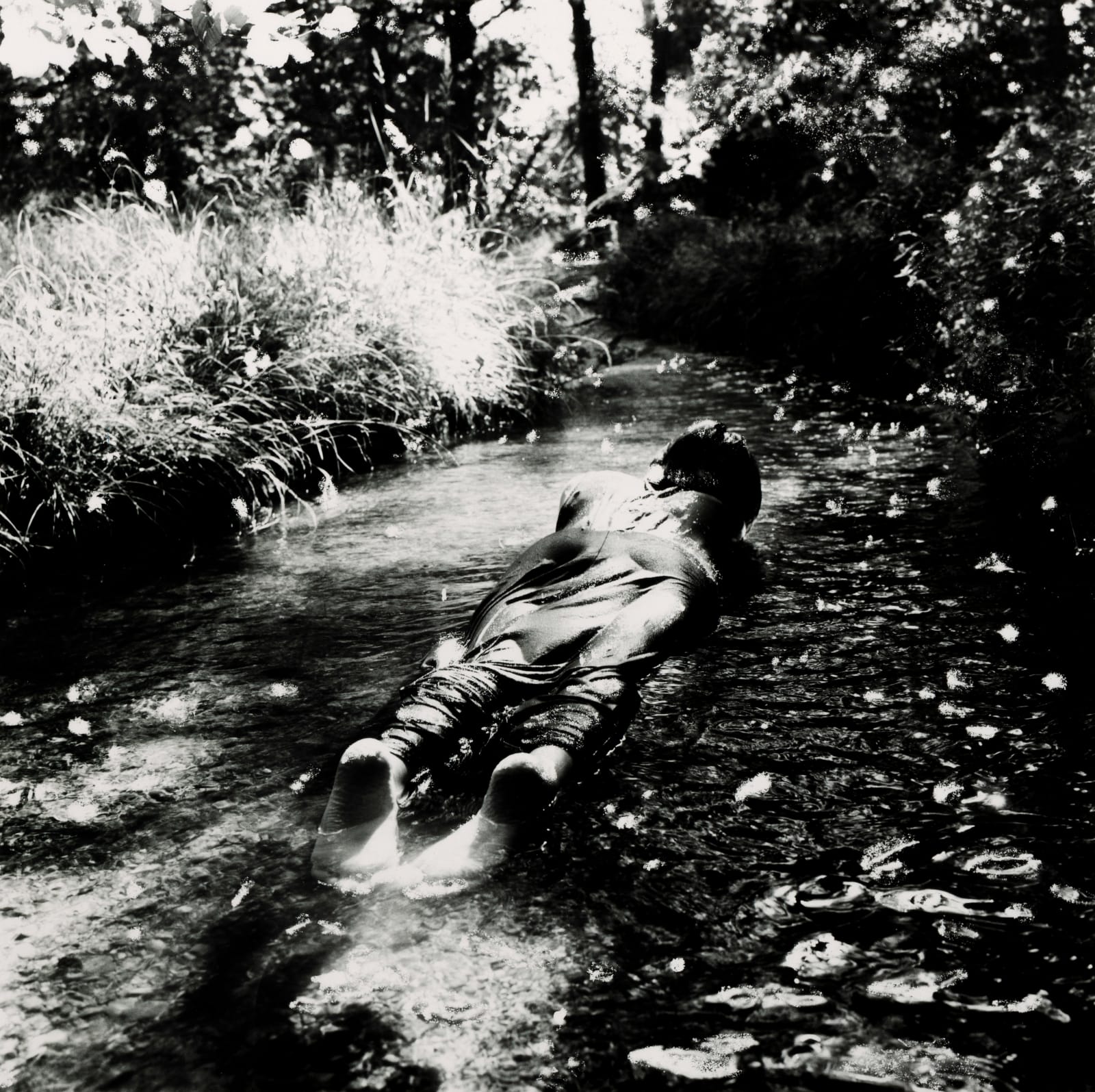 Ingrid Dorner, Liminal.IIII.04, 2025
