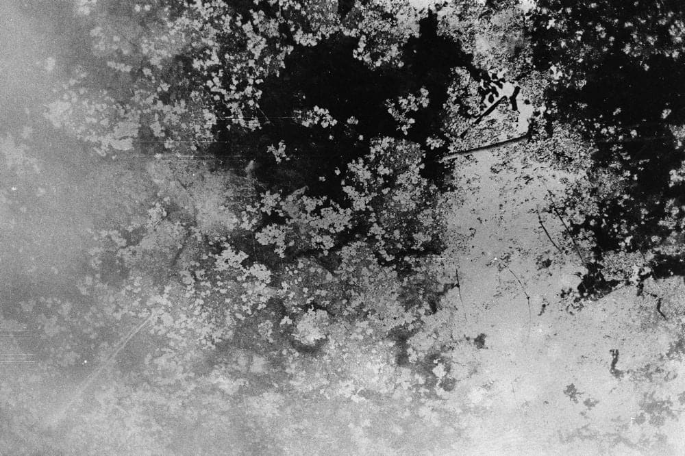 Margaret Lansink, Memory, 2017