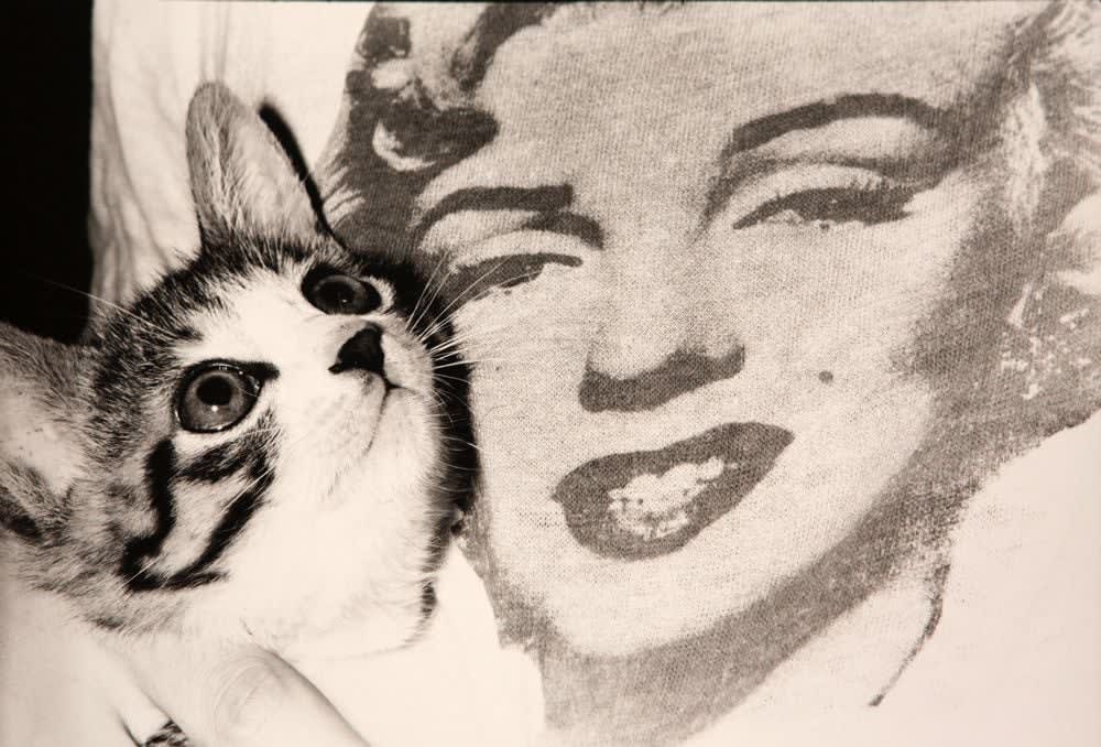 Masahisa Fukase, Sasuke! My Dear Cat - Marilyn Monroe, 1978