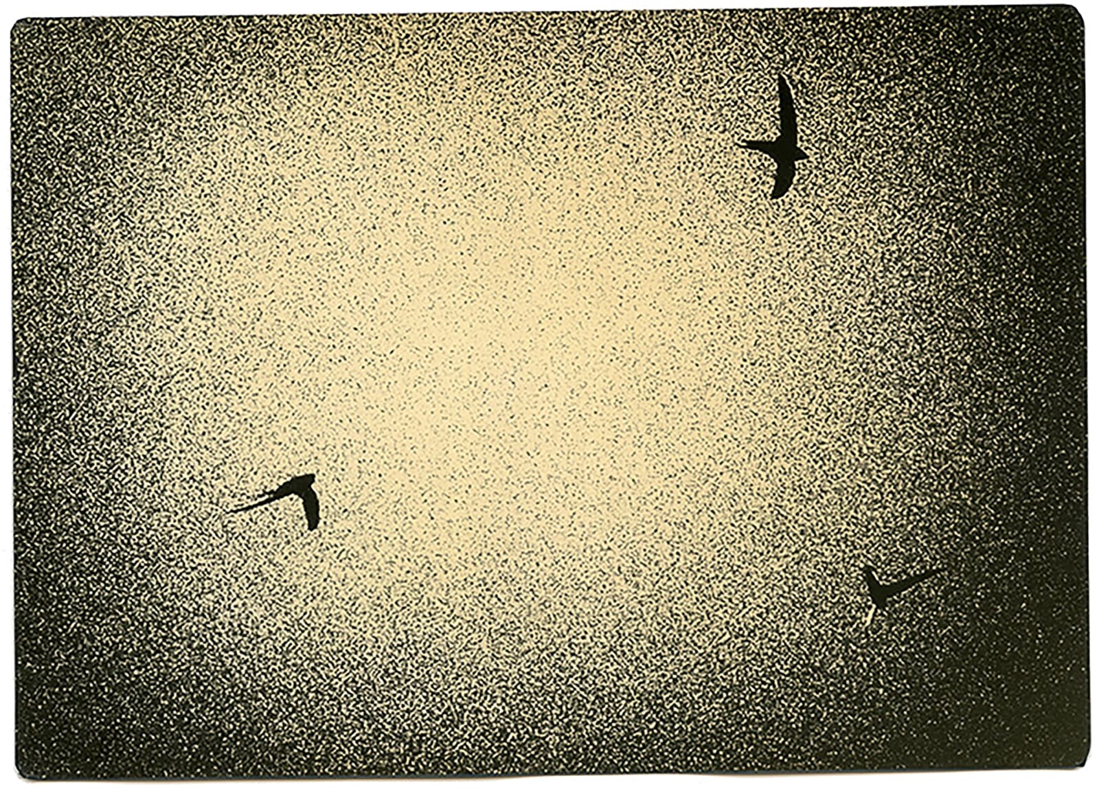 Miho Kajioka, BK0489, 2019