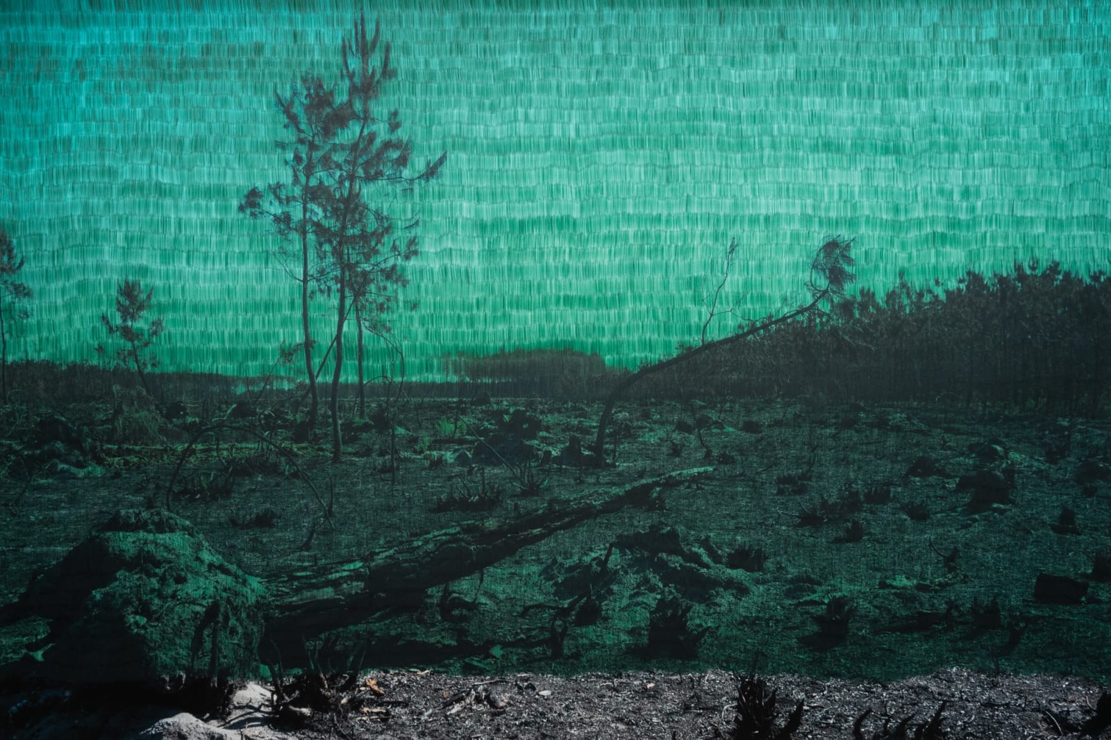 Morvarid K, This Too Shall Pass 1-7, 2023