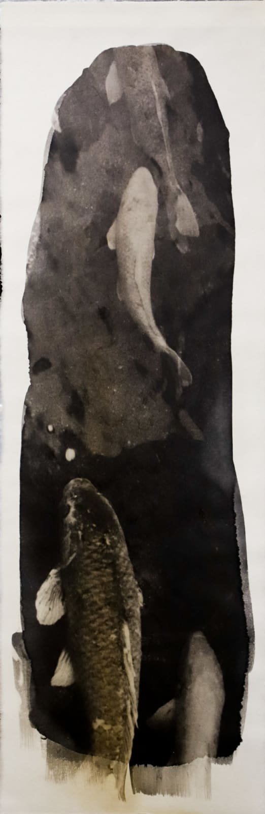 Naohiro Ninomiya, Nokomi-19, 2022