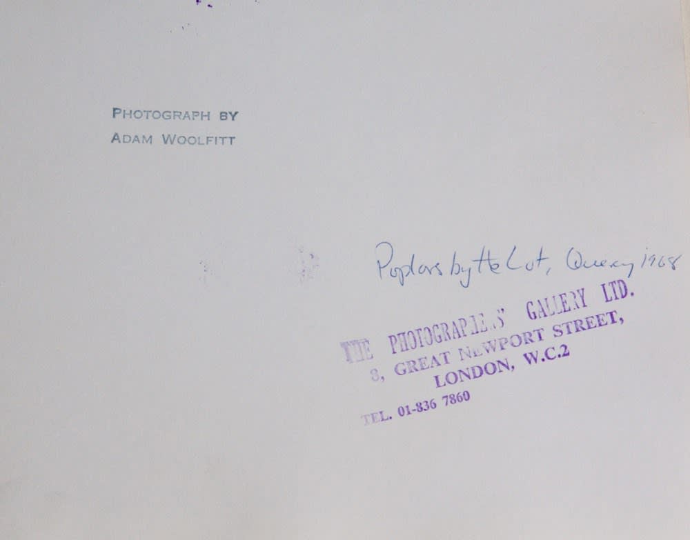 Various International Artists, Adam Woolfitt - Poplars by the Lot, Query, 1965
