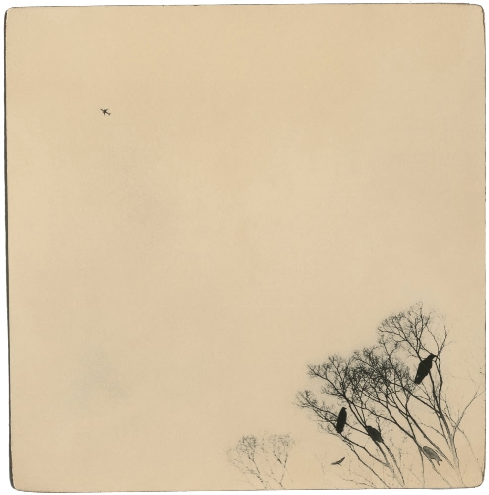 Miho Kajioka, BK0567, 2018