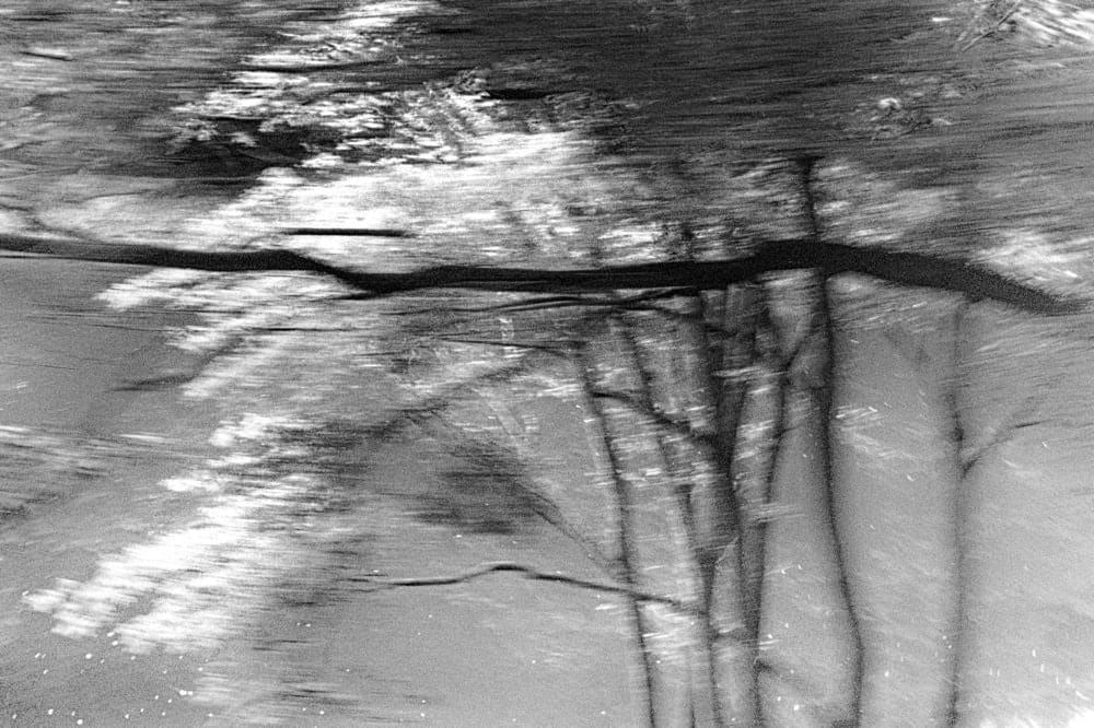 Margaret Lansink, Stream, 2017
