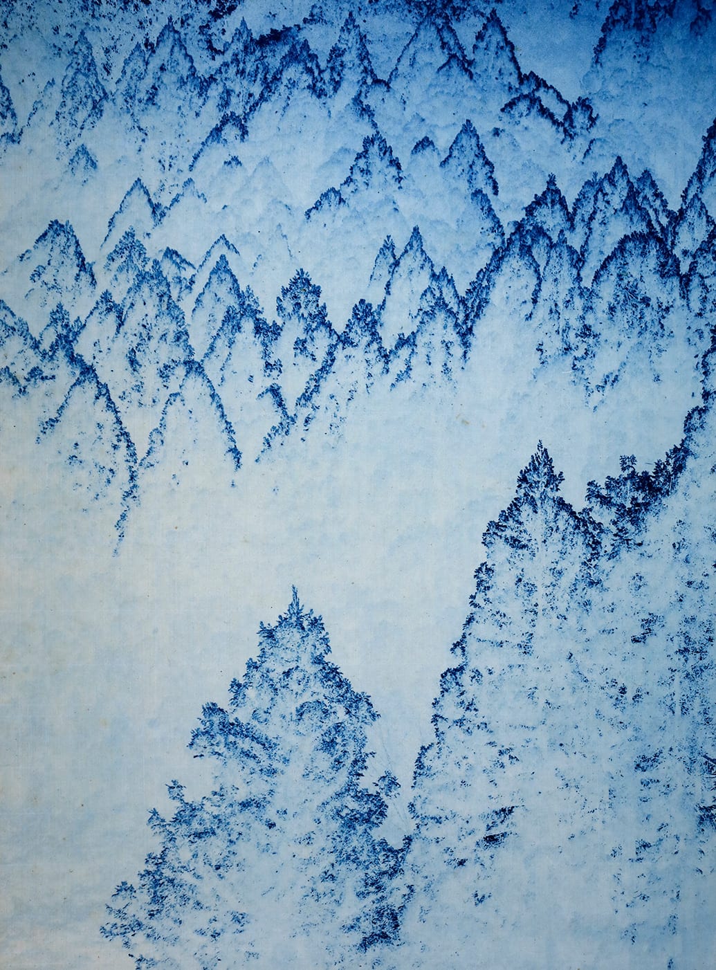 Anaïs Lopez, The Ancient Wood I, 2023 / toyobo 2025