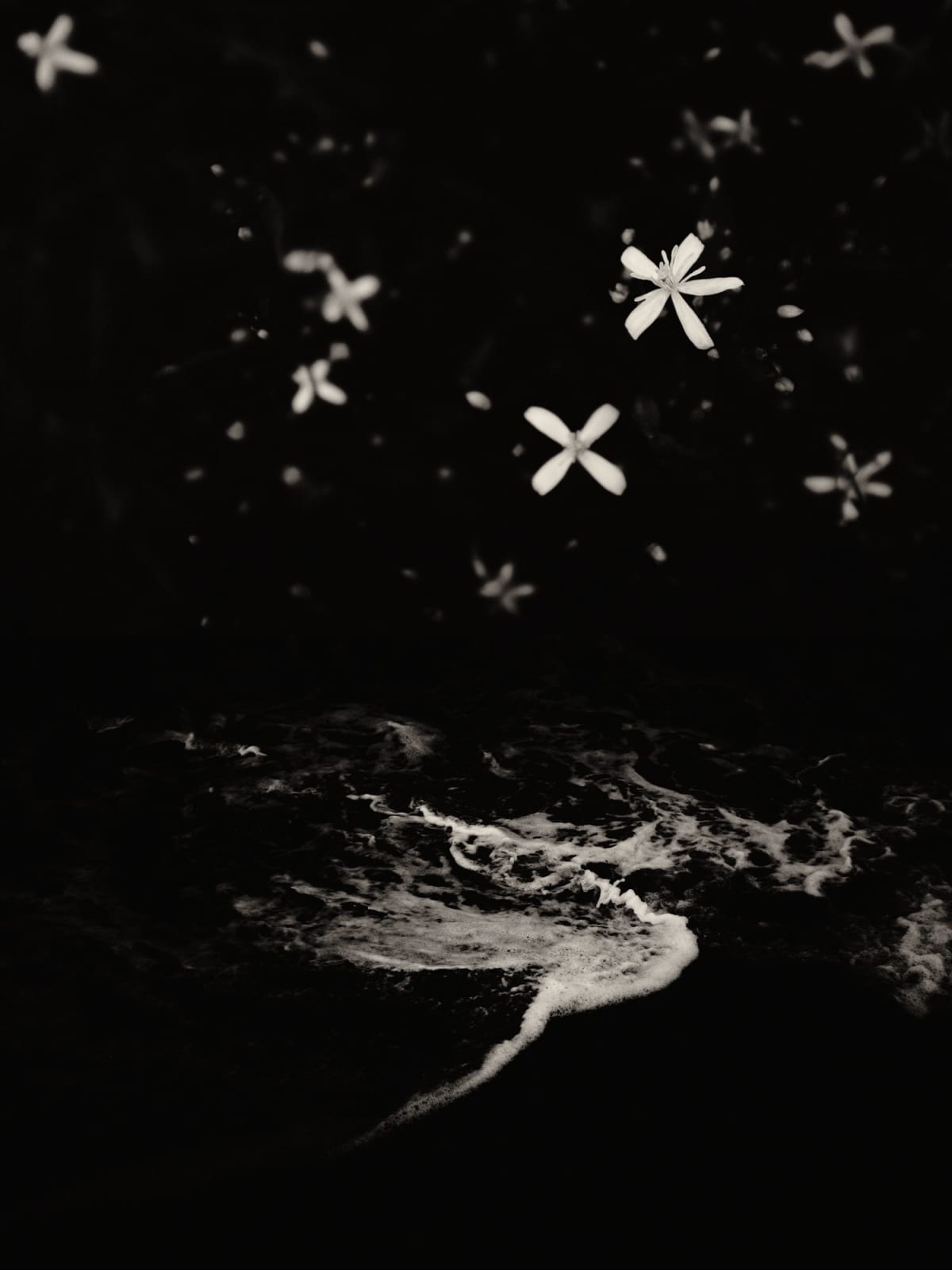 Jaume Llorens, Díptic 23, 2023