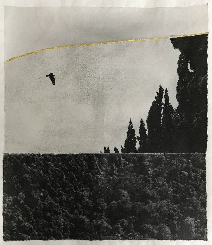 Margaret Lansink, Serene, 2019
