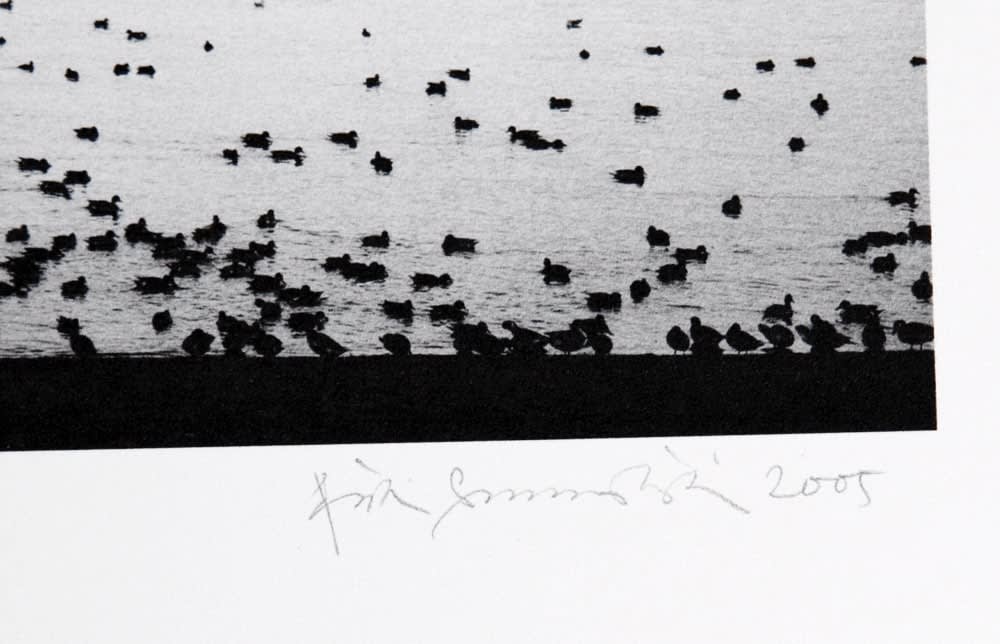 Pentti Sammallahti, Lake Inawashiro, Japan, 2005