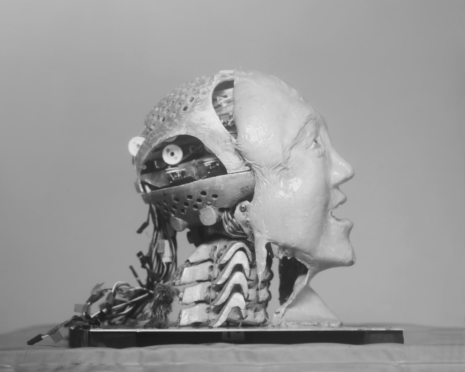 Wanda Tuerlinckx, Kansei 2, Meiji University's Robot & Science institute, Kawasaki, Japan, 2017