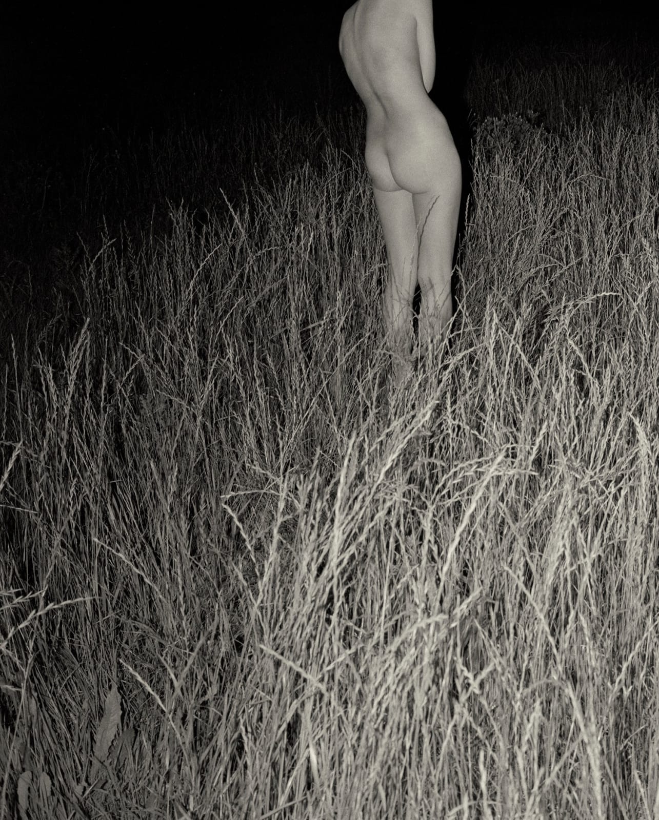 Sayuri Ichida, Absentee #274, 2021
