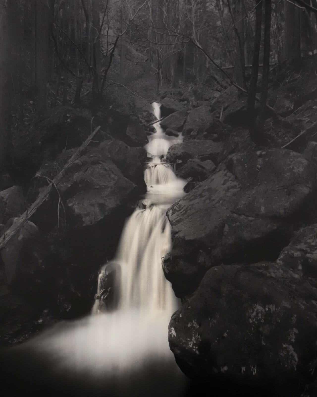 Naohiro Ninomiya, Nanashi-no-taki, 2022