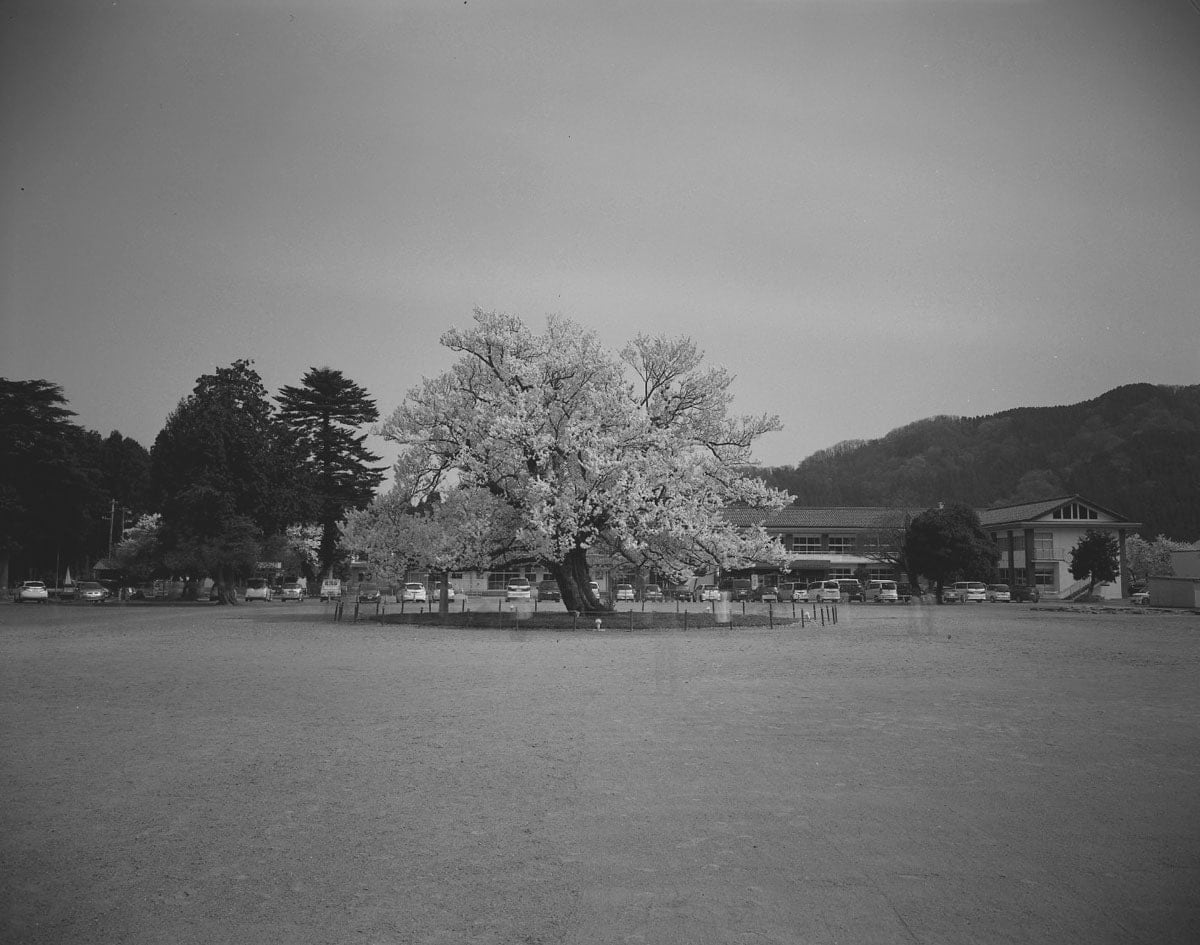 Keiichi Ito, Echizen Fukui-ken, 2016