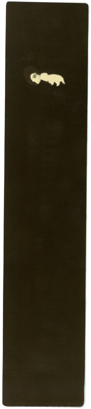 Miho Kajioka, BK0460, 2015