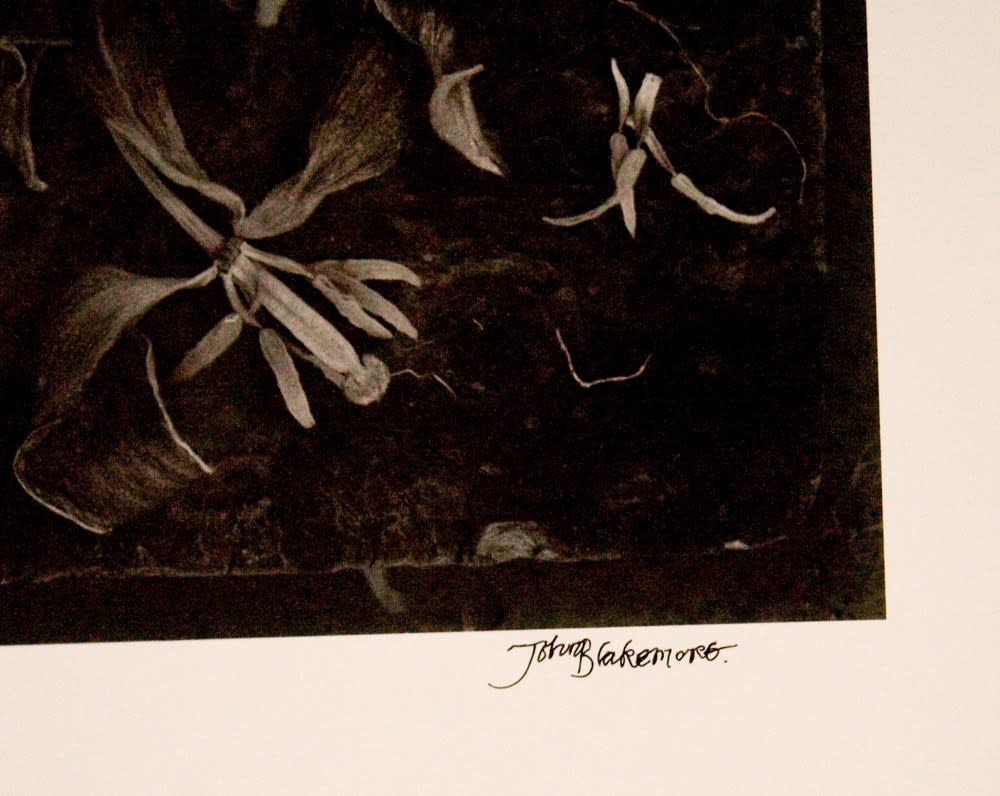 Various International Artists, John Blakemore - Ad Marginum, Hommage to Paul Klee, No. 14, 1995