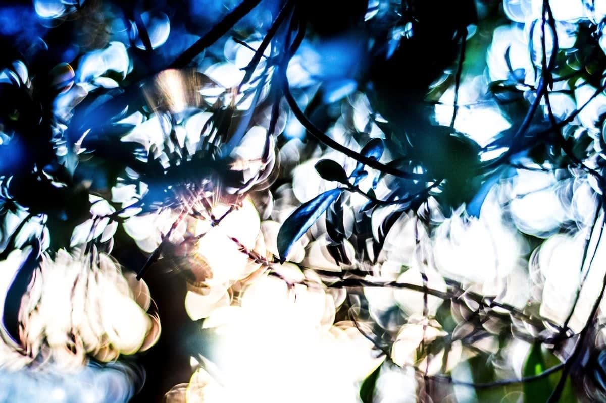 Yosuke Takeda, 60700, 2014