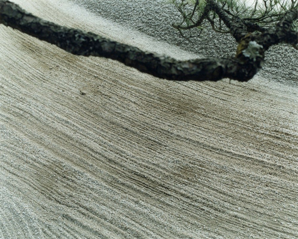 Yoko Ikeda, 1364-06 Kyoto City, Kyoto Prefecture, 2016