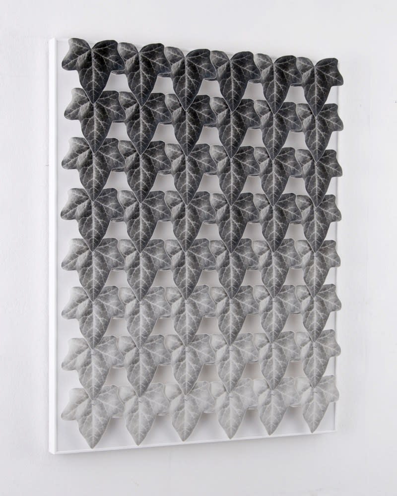 Norio Takasugi, Efeu 15-20G, 2017