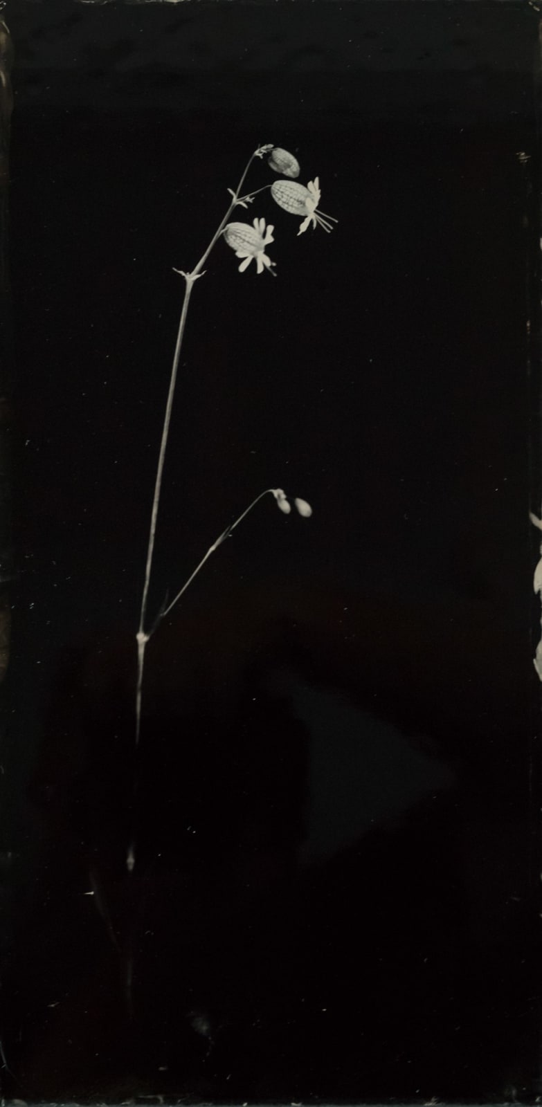 Steffen Diemer, 1343