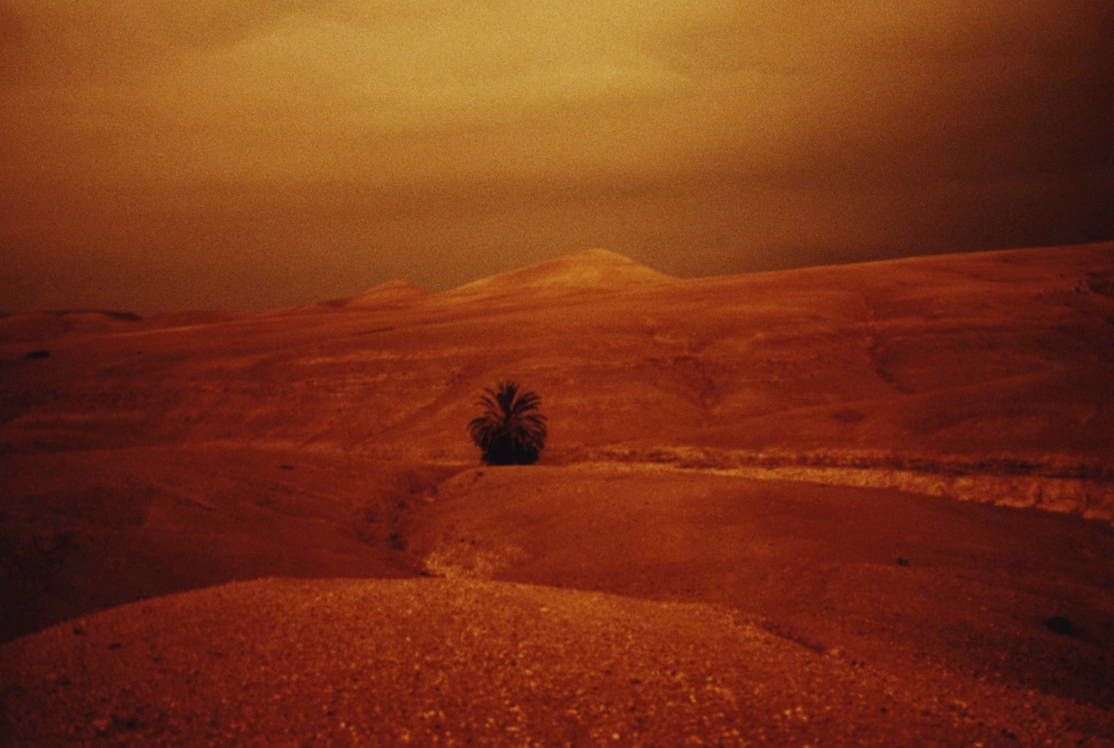Sean Lotman, Spaceman Lost Your Way #33