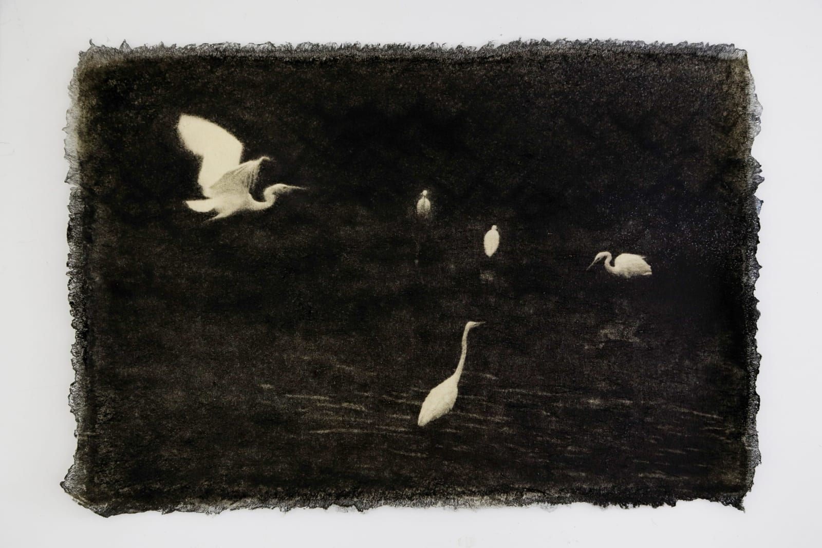 Naohiro Ninomiya, Ephemeral Moment-10, 2025