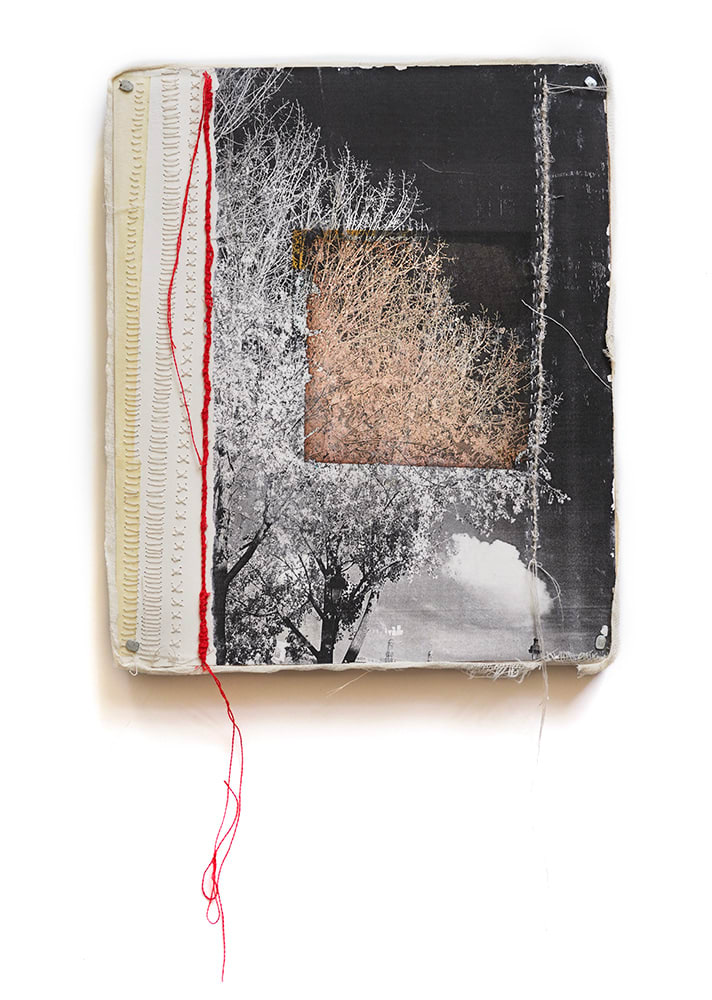Jackie Mulder, Thought Trails #46, 2022