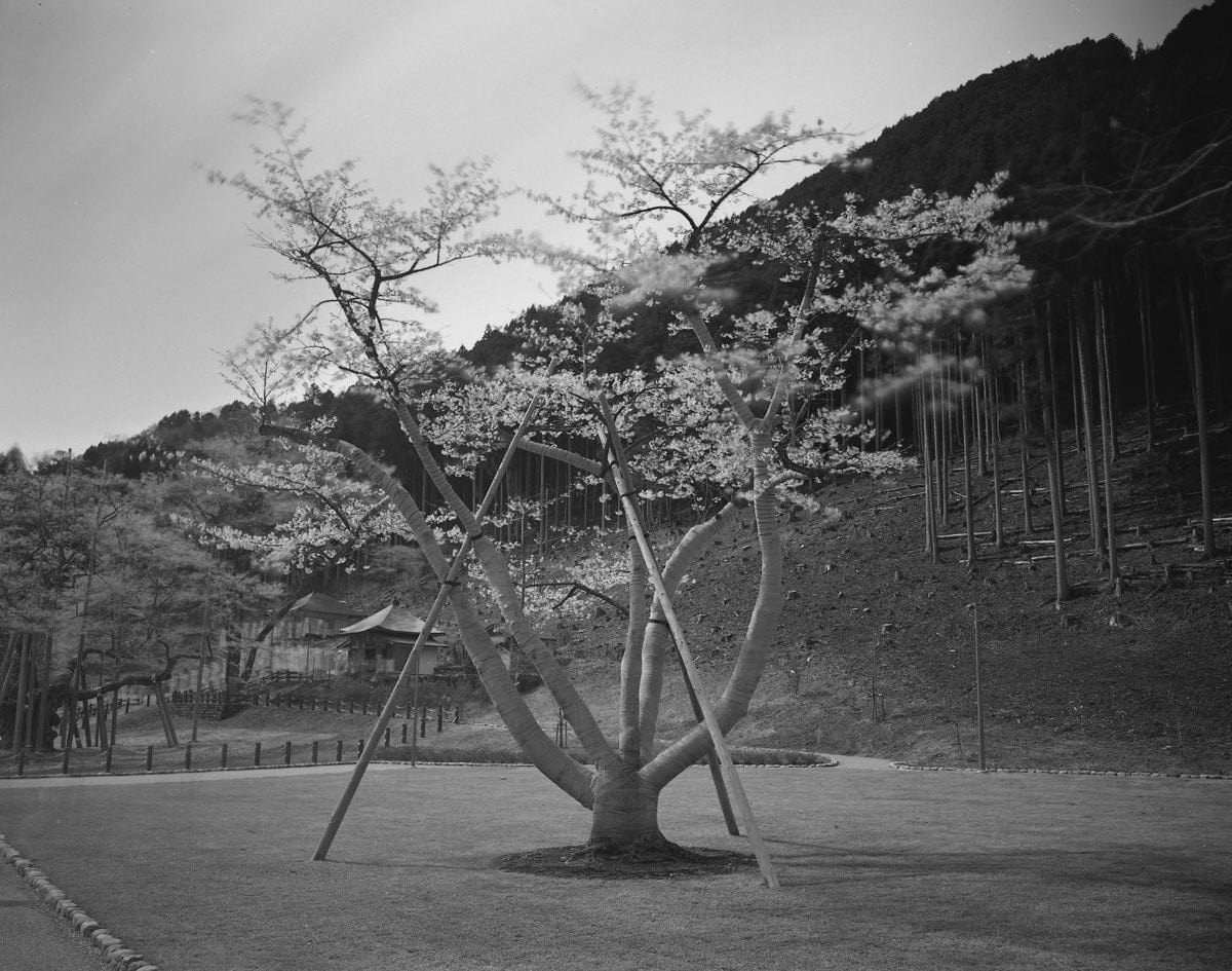 Keiichi Ito, Motosu Gifu-ken, 2013