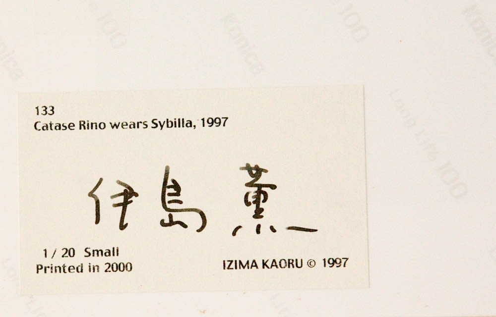 Various Japanese Artists, Izima Kaoru - Catase Rino wears Sybilla, 1997