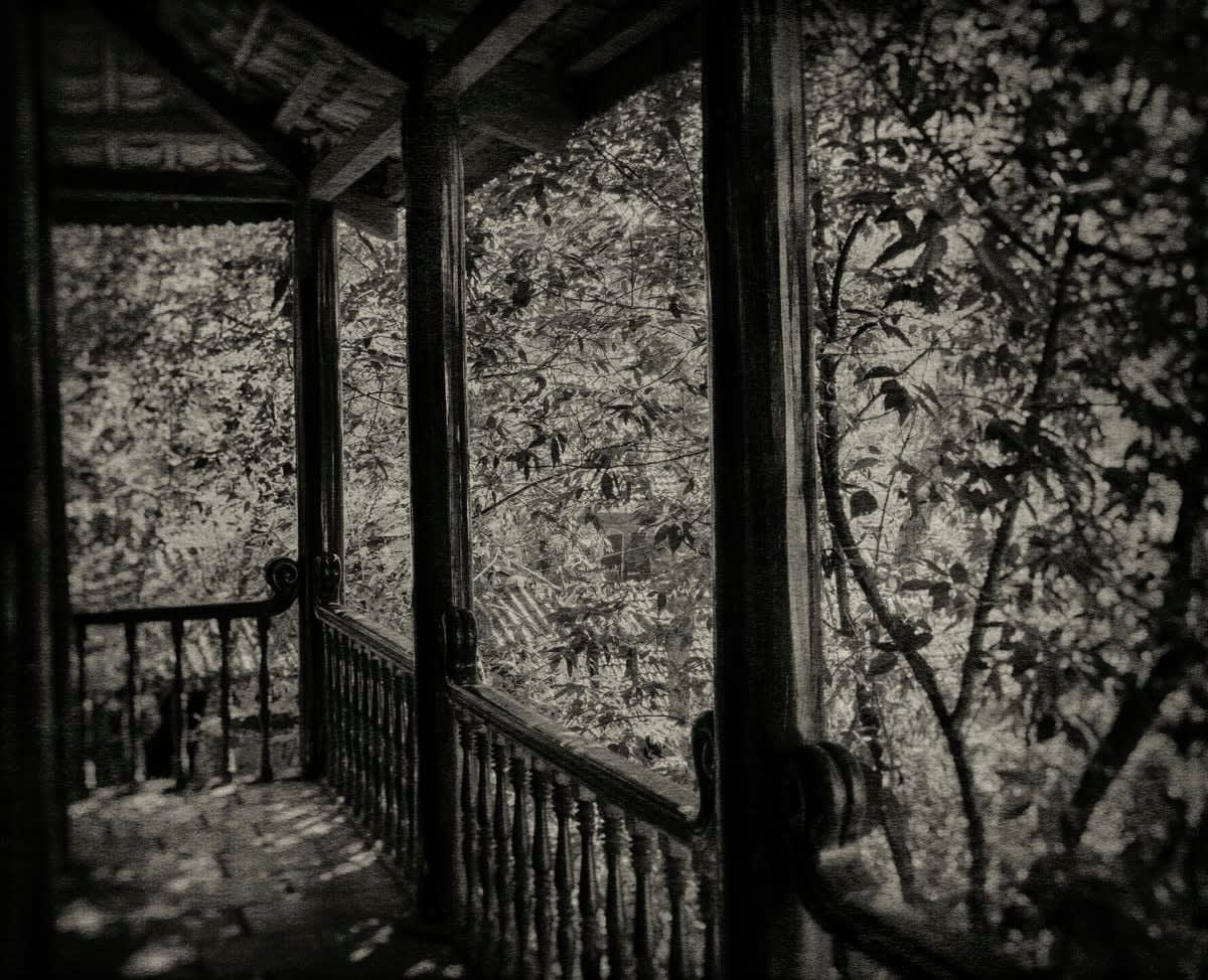 FLORE, FL-925 Lumière de sieste, 2020