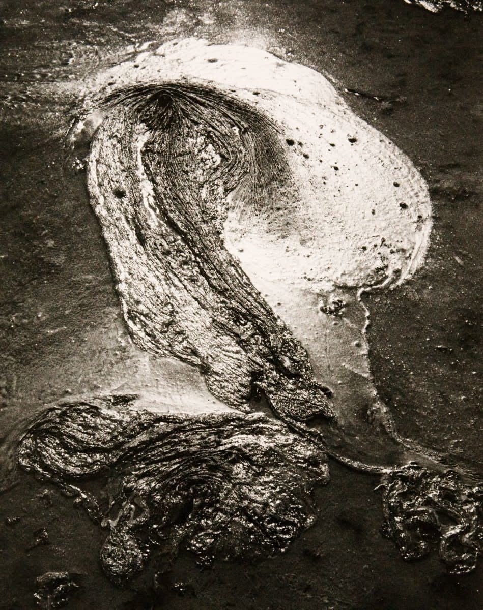Various International Artists, Lucien Clergue - Untitled, from the series Camargue Secrète, 1960s