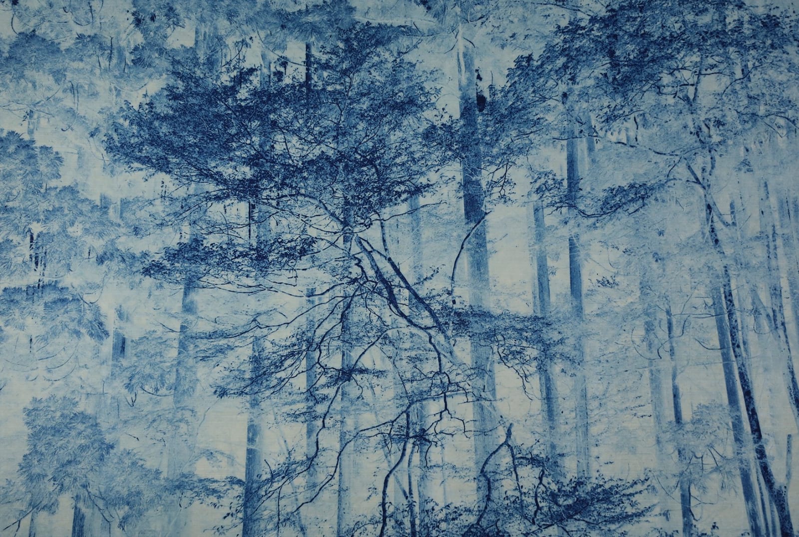 Anaïs Lopez, The Forest, 2023 / toyobo 2025