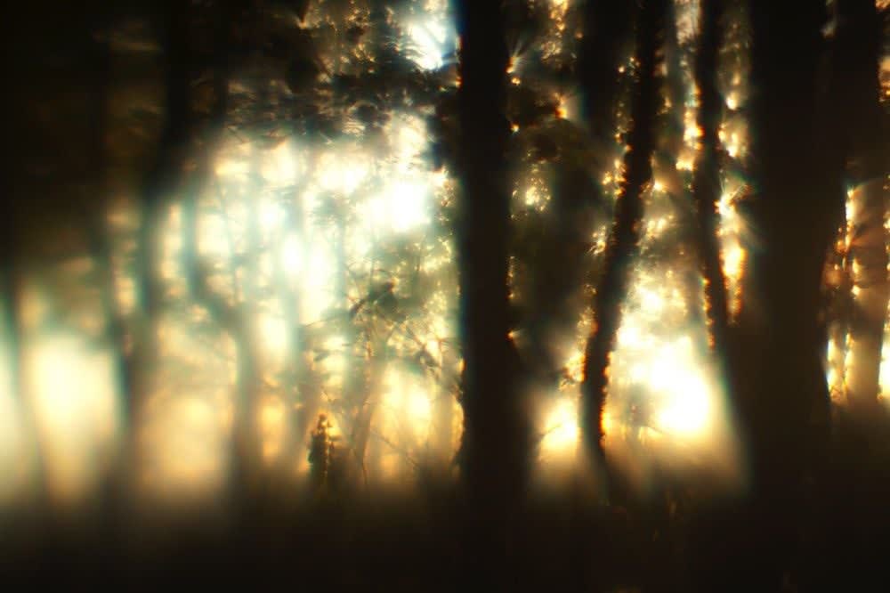 Naoyuki Ogino, Shimmer of Vanir 1B, 2018