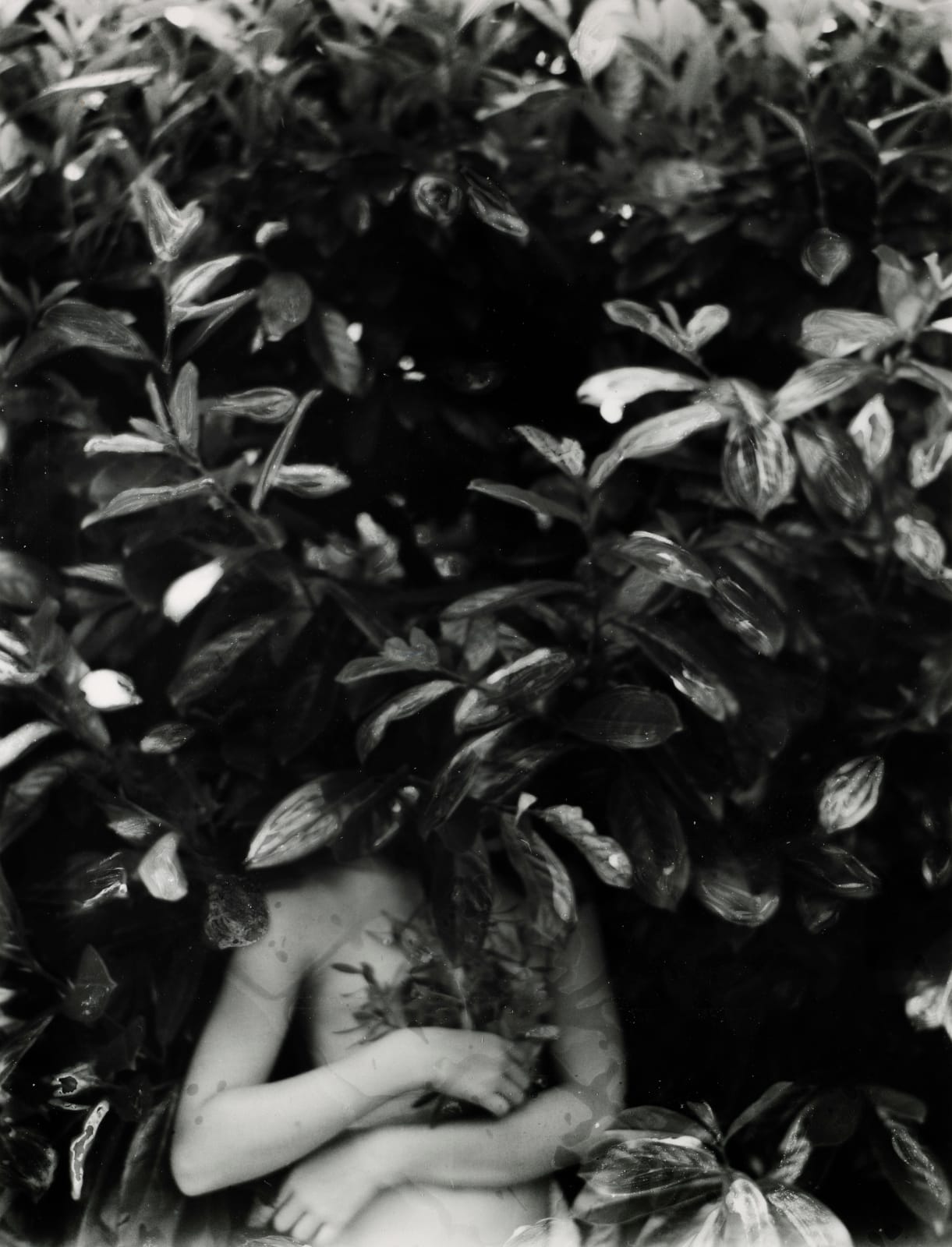 Ingrid Dorner, Liminal.IIII.05, 2025