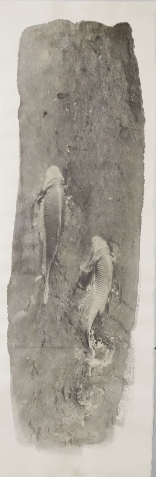 Naohiro Ninomiya, Nokomi-27, 2023