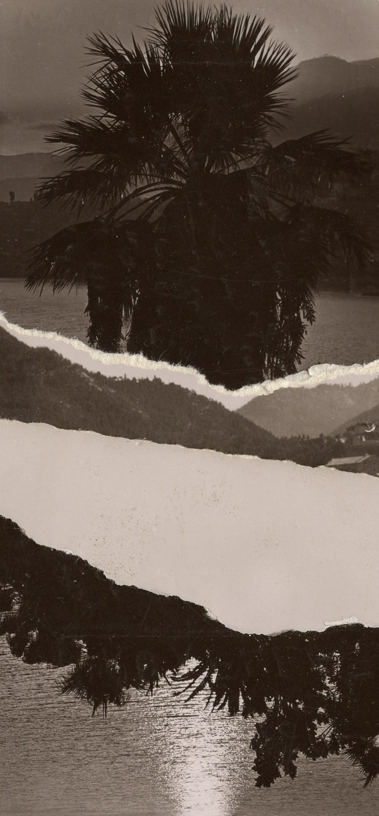 Gert Motmans, DAY 34, 2022