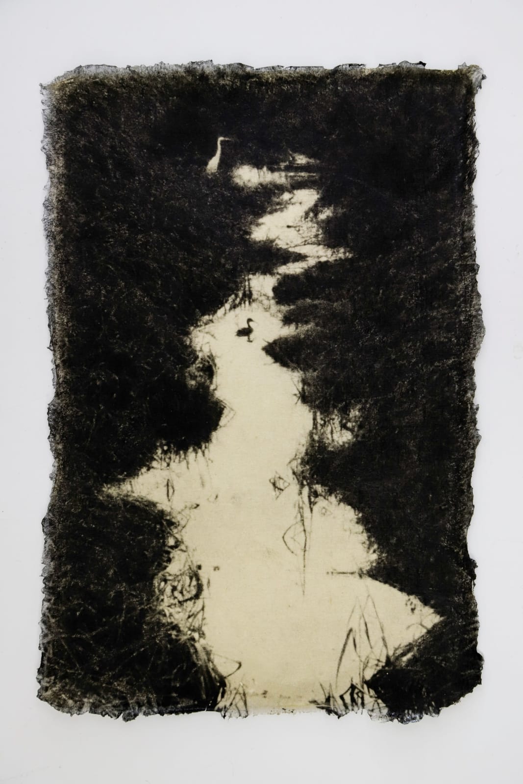 Naohiro Ninomiya, Ephemeral Moment-11, 2025