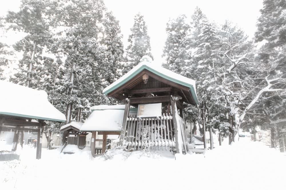 Yukari Chikura, Zaido 10, 2012-2017