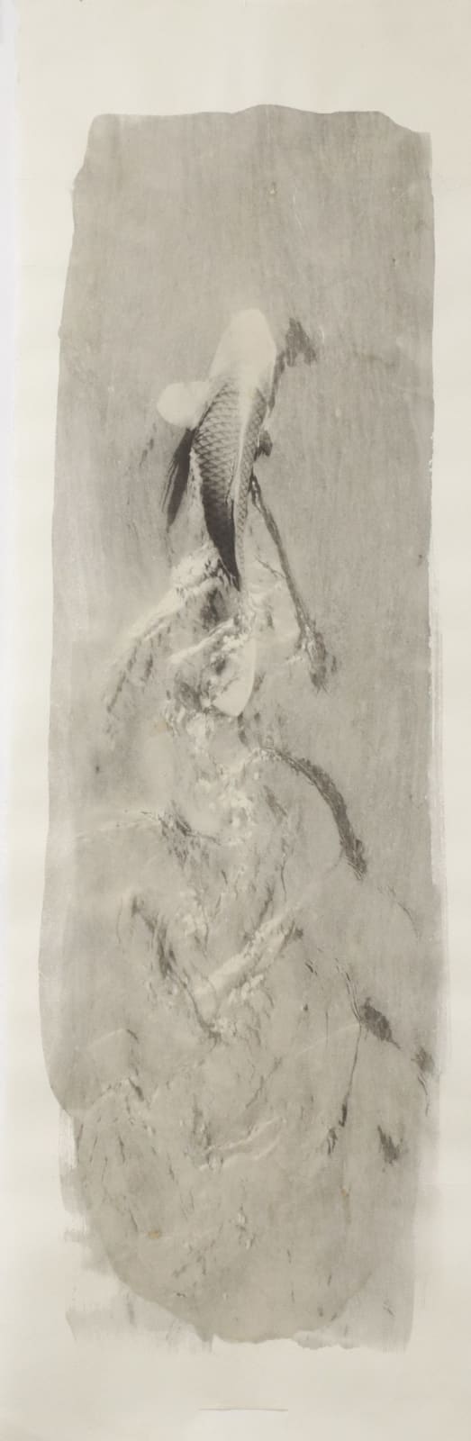 Naohiro Ninomiya, Nokomi-23, 2022